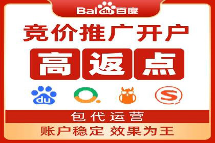 成功SEM服务案例：优化广告投放